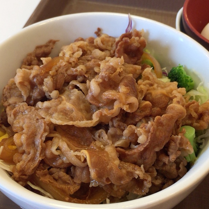 牛丼ライト並430円の写真