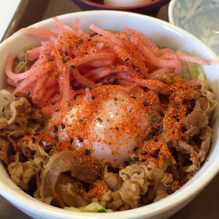 すき家の牛丼ライトの写真